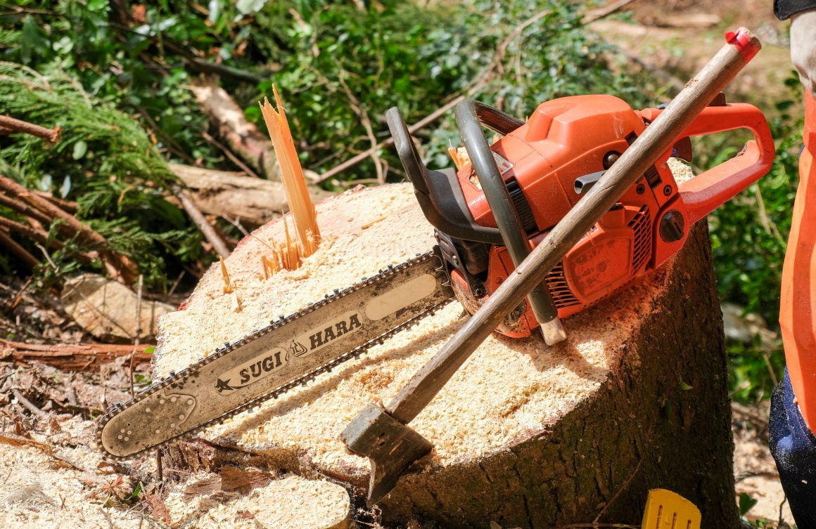 山師の右腕、チェーンソー