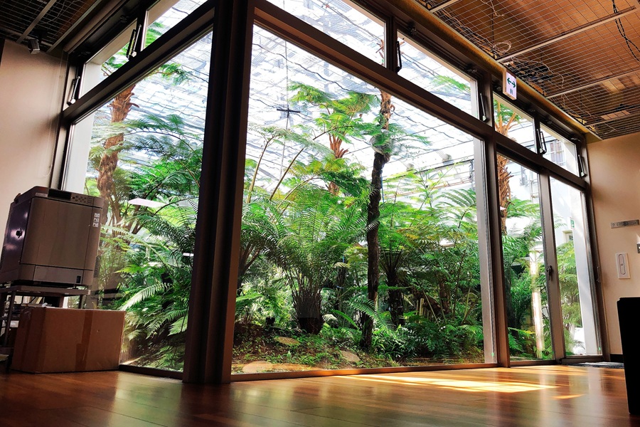 新鮮な空気と太陽光を取り入れるための中庭