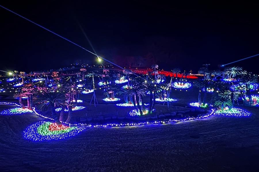 LUMI SATSUMA主催・企画・運営