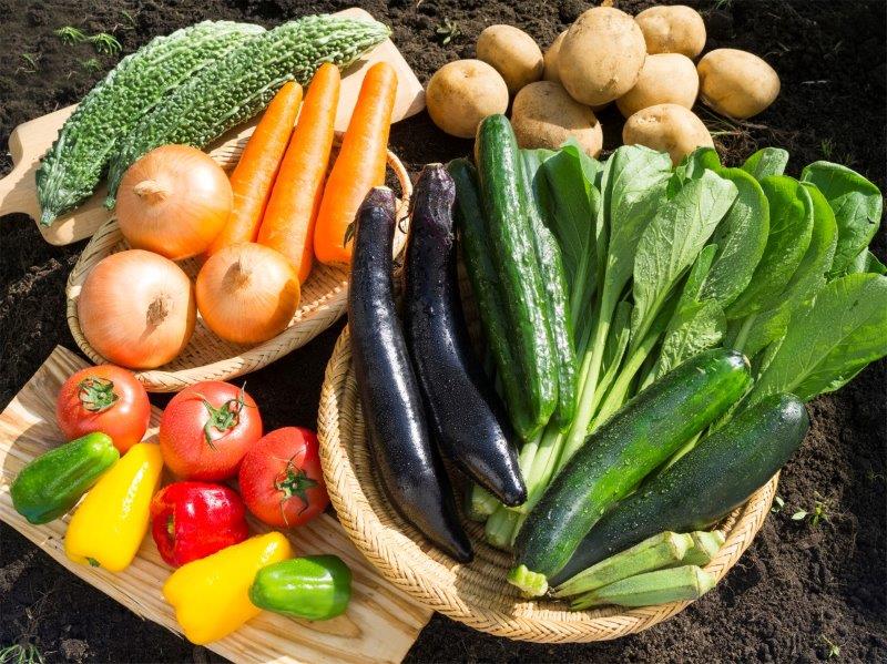 次の世代へバトンを繋ぐ