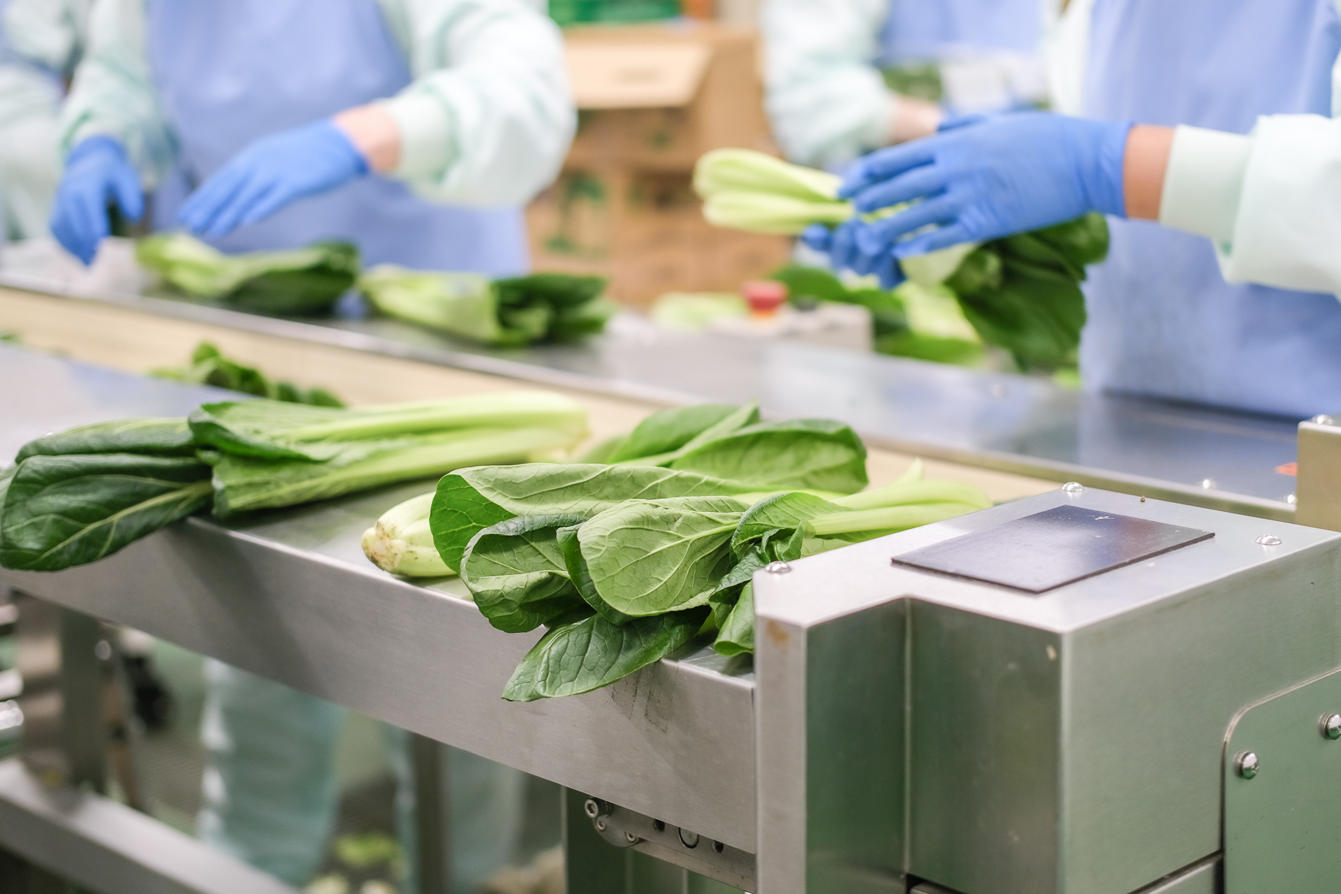 女性の社会進出に伴い、需要が伸びているサービスです